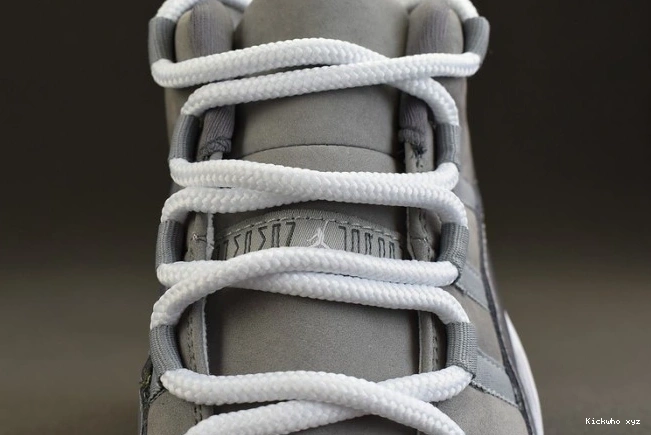 11 Air Grey 528895-003 Jordan Low Cool 0606